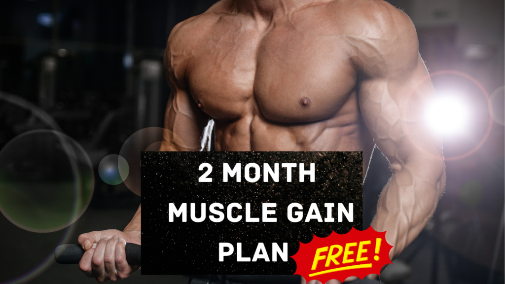 Month Muscle Gain Plan free