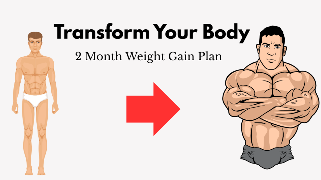 2 Month Free Weight Gain Plan