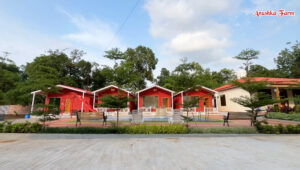 Anushka Fram - At Shirvle, Panvel