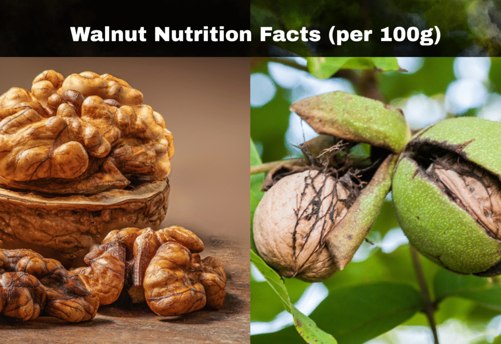 Walnut Nutrition Facts (per 100g)
