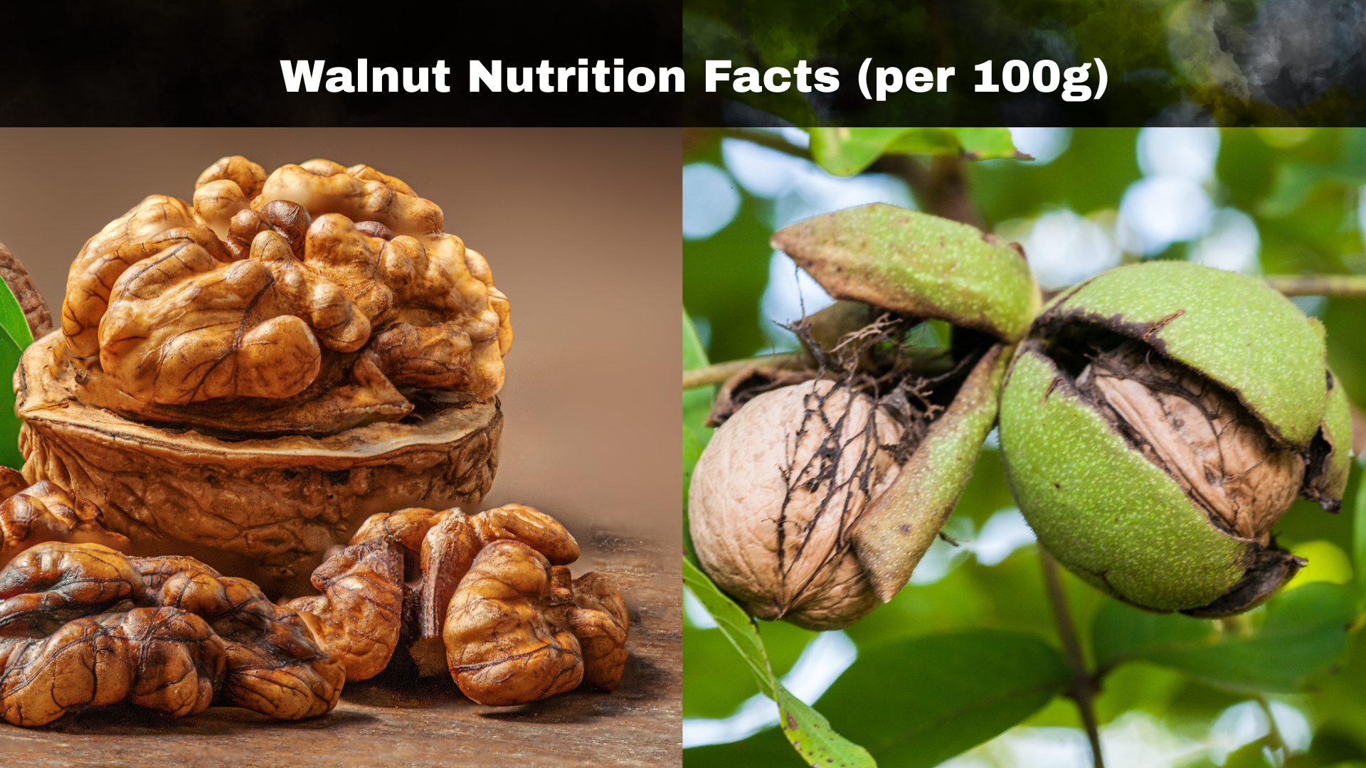 Walnut Nutrition Facts (per 100g)