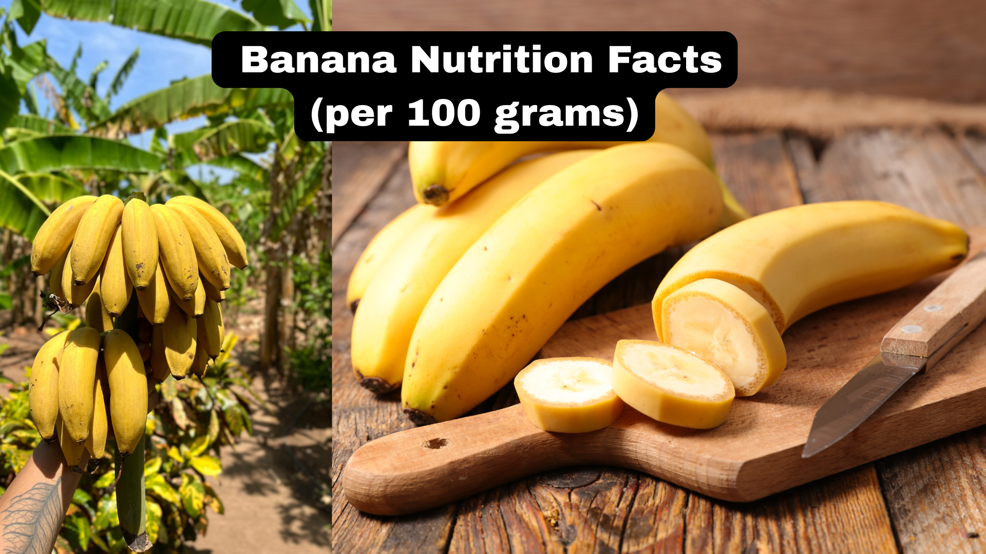 Banana Nutrition Facts (per 100 grams)